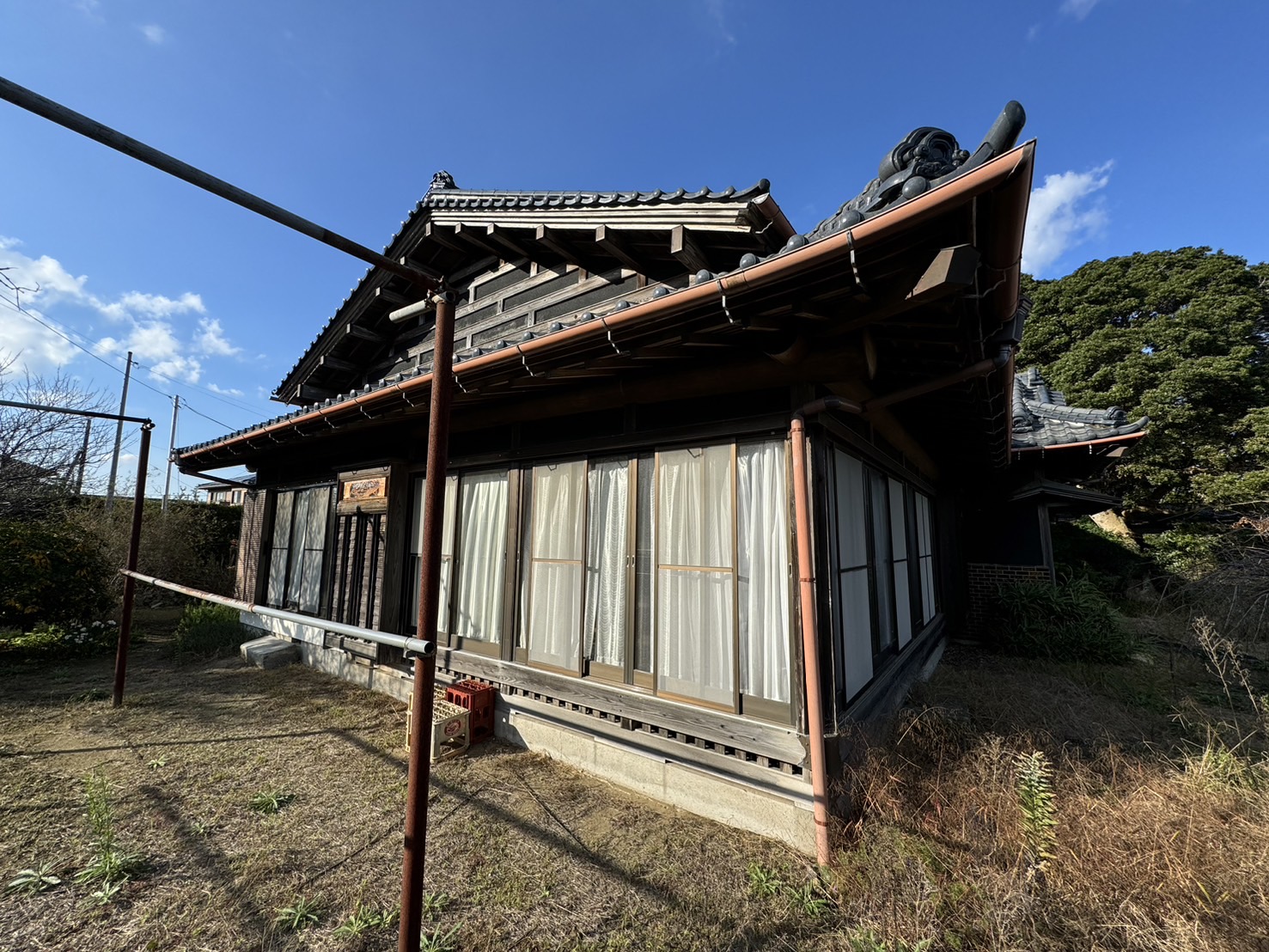 S__237264913_0